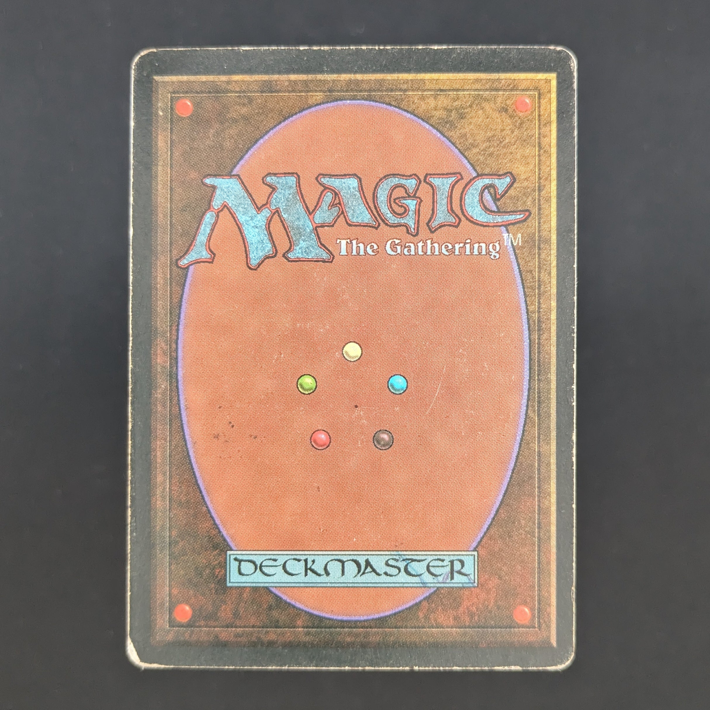 MTG Singles - Taiga - Foreign Black Bordered - 