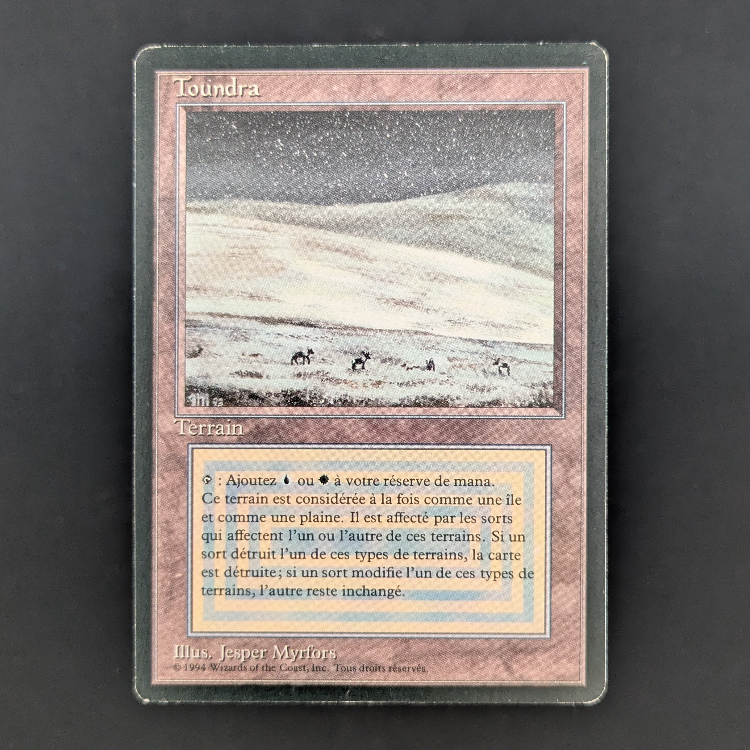 MTG Singles - Tundra - Foreign Black Bordered - French - GD - 35285