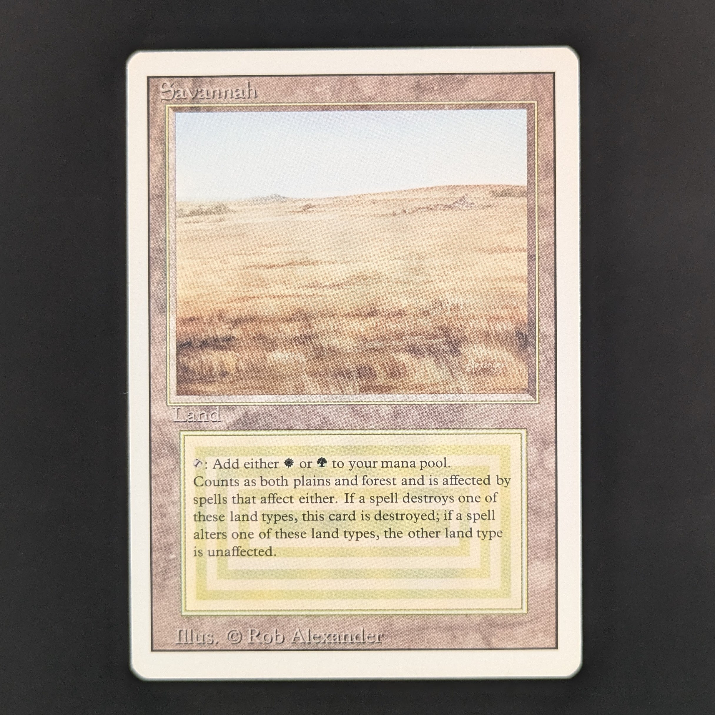 MTG Singles - Savannah - Revised - GD - 35541