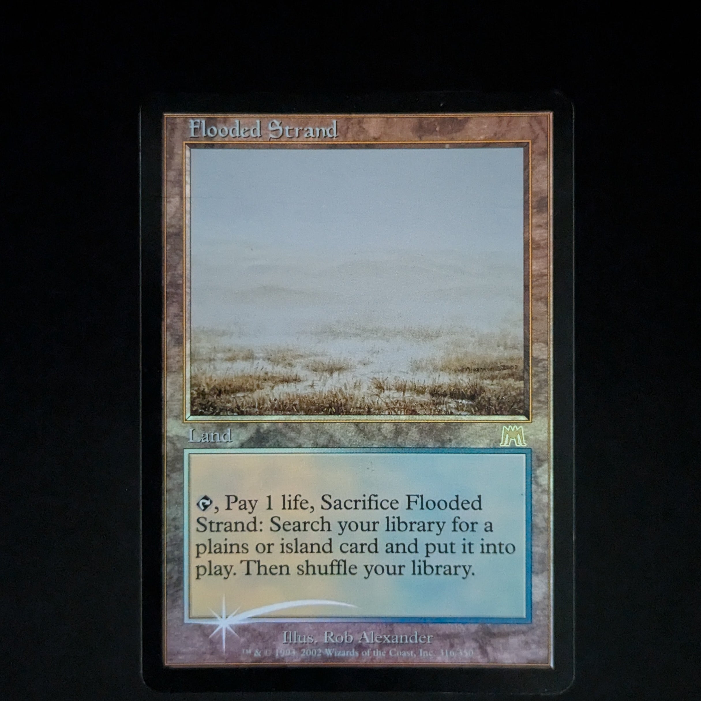 [FOIL] Flooded Strand - Onslaught - English - PL