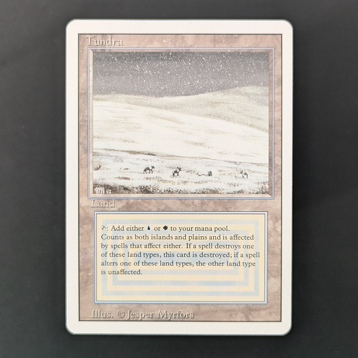 MTG Singles - Tundra - Revised - NM - 36029