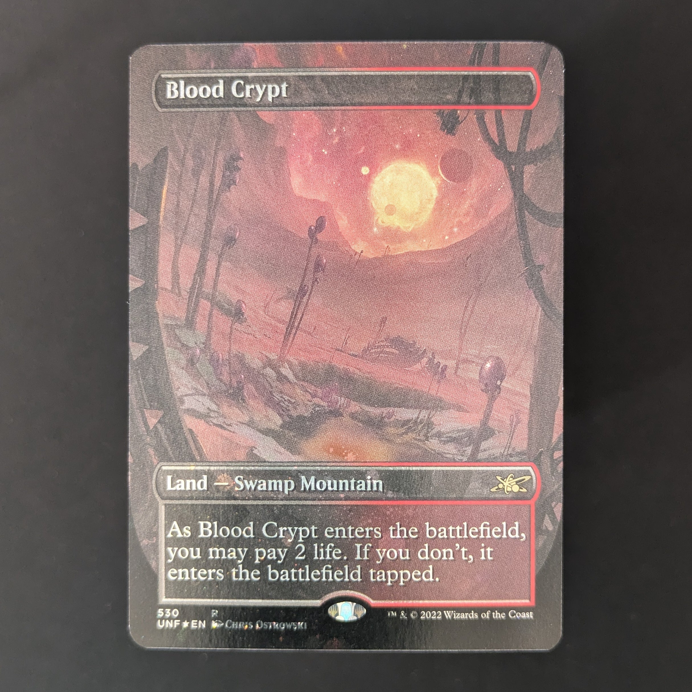 MTG Singles - [FOIL] Blood Crypt (Borderless) (Galaxy Foil) - Unfinity: Extras - English - EX - 