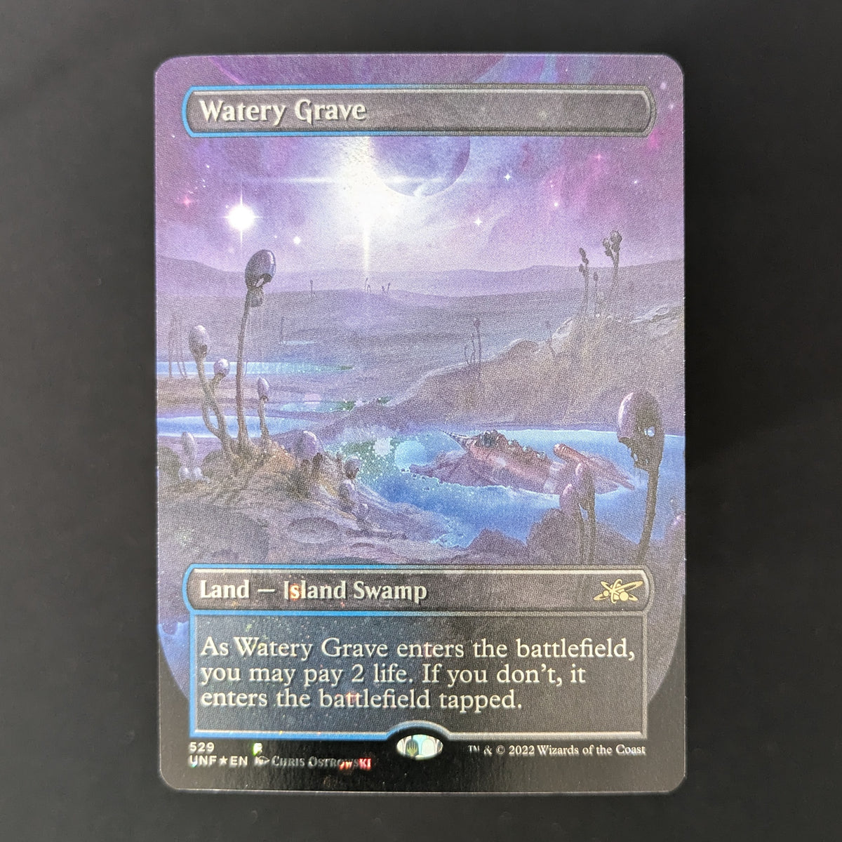 MTG Singles - [FOIL] Watery Grave (Borderless) (Galaxy Foil) - Unfinity: Extras - English - NM - 