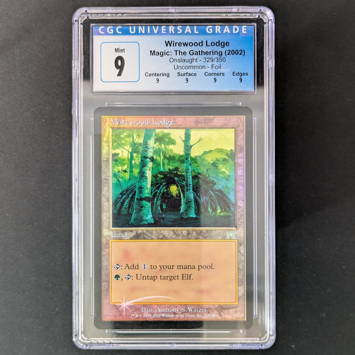 MTG Singles - Wirewood Lodge - Onslaught - English - CGC 9 - 