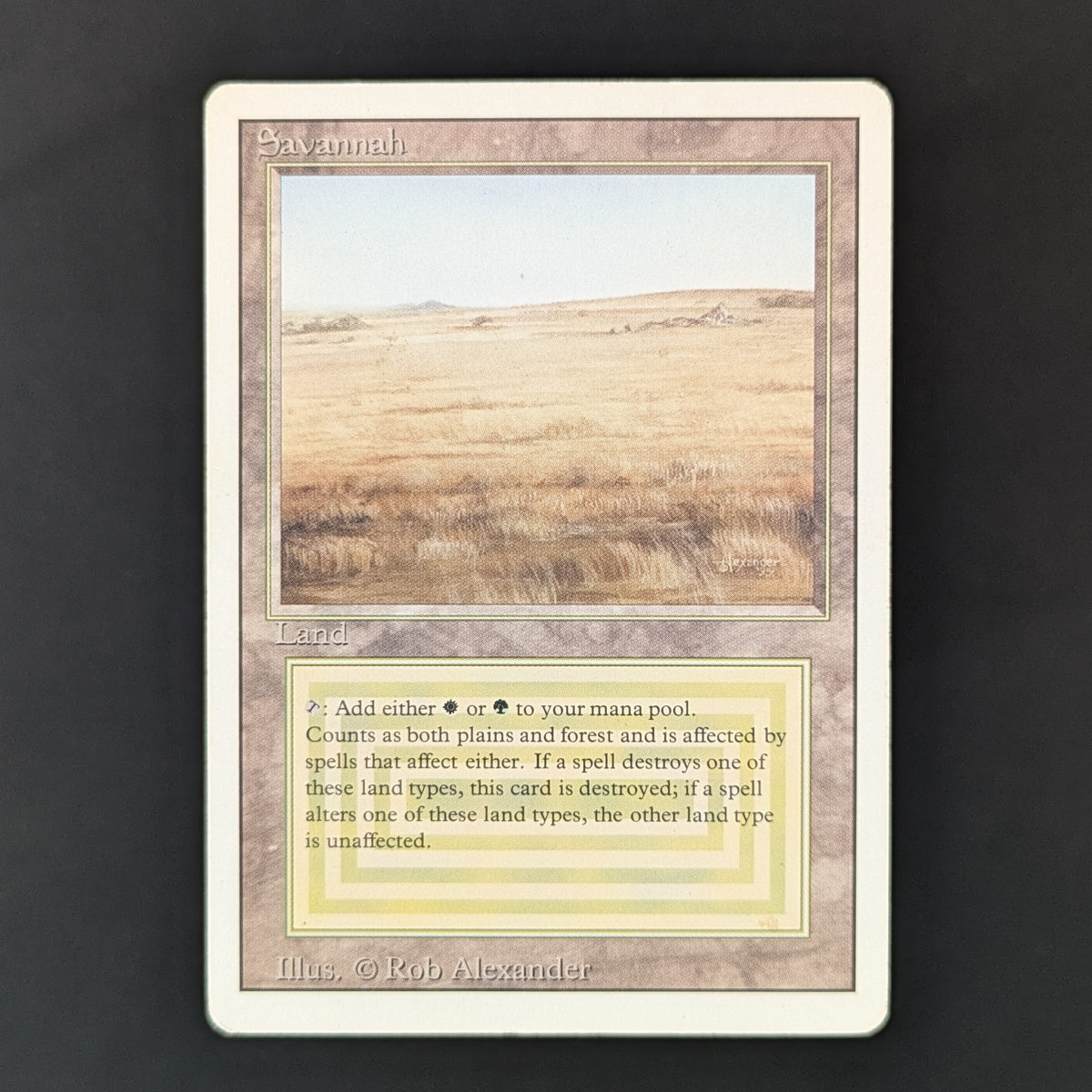 MTG Singles - Savannah - Revised - PL - 36221