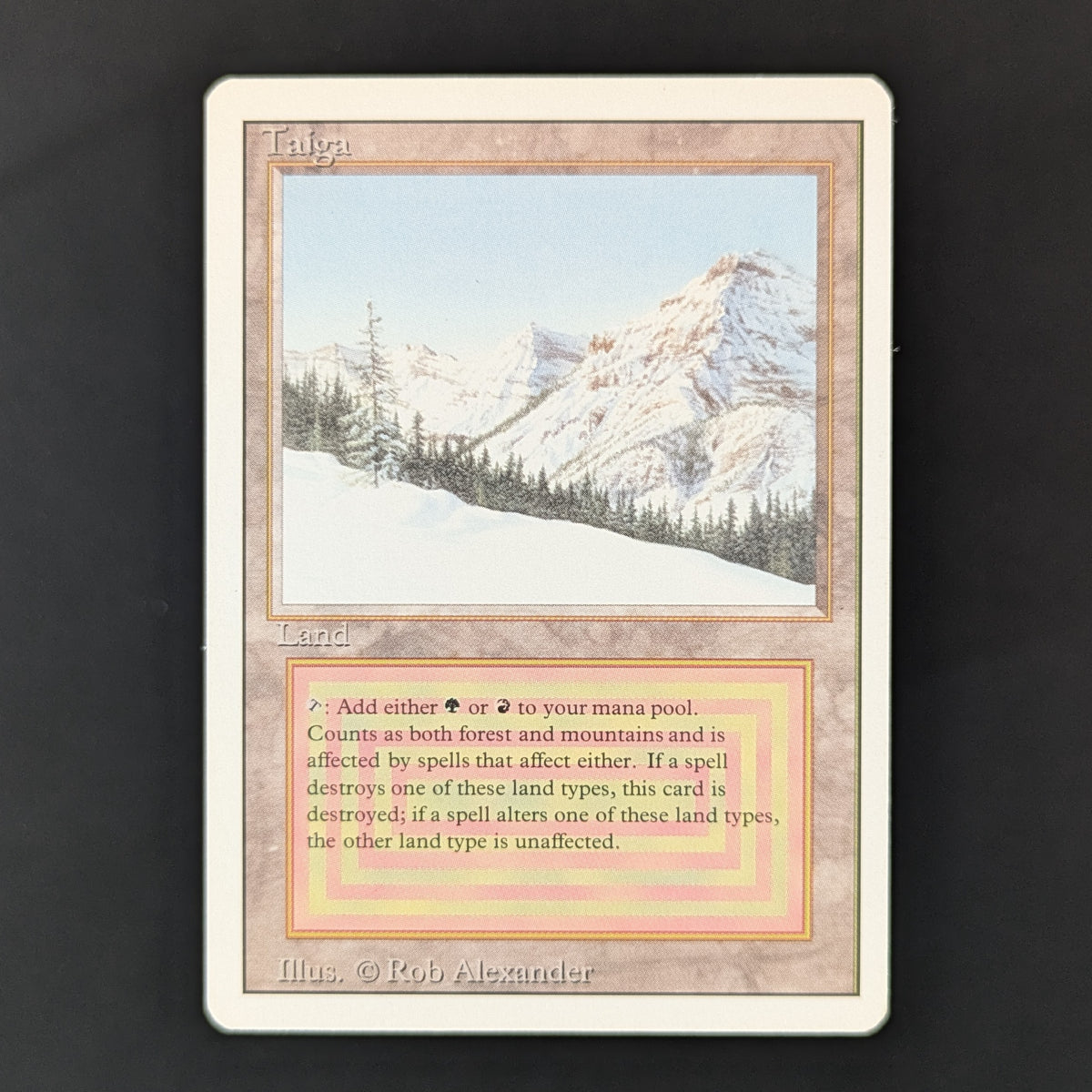 MTG Singles - Taiga - Revised - GD - 36239