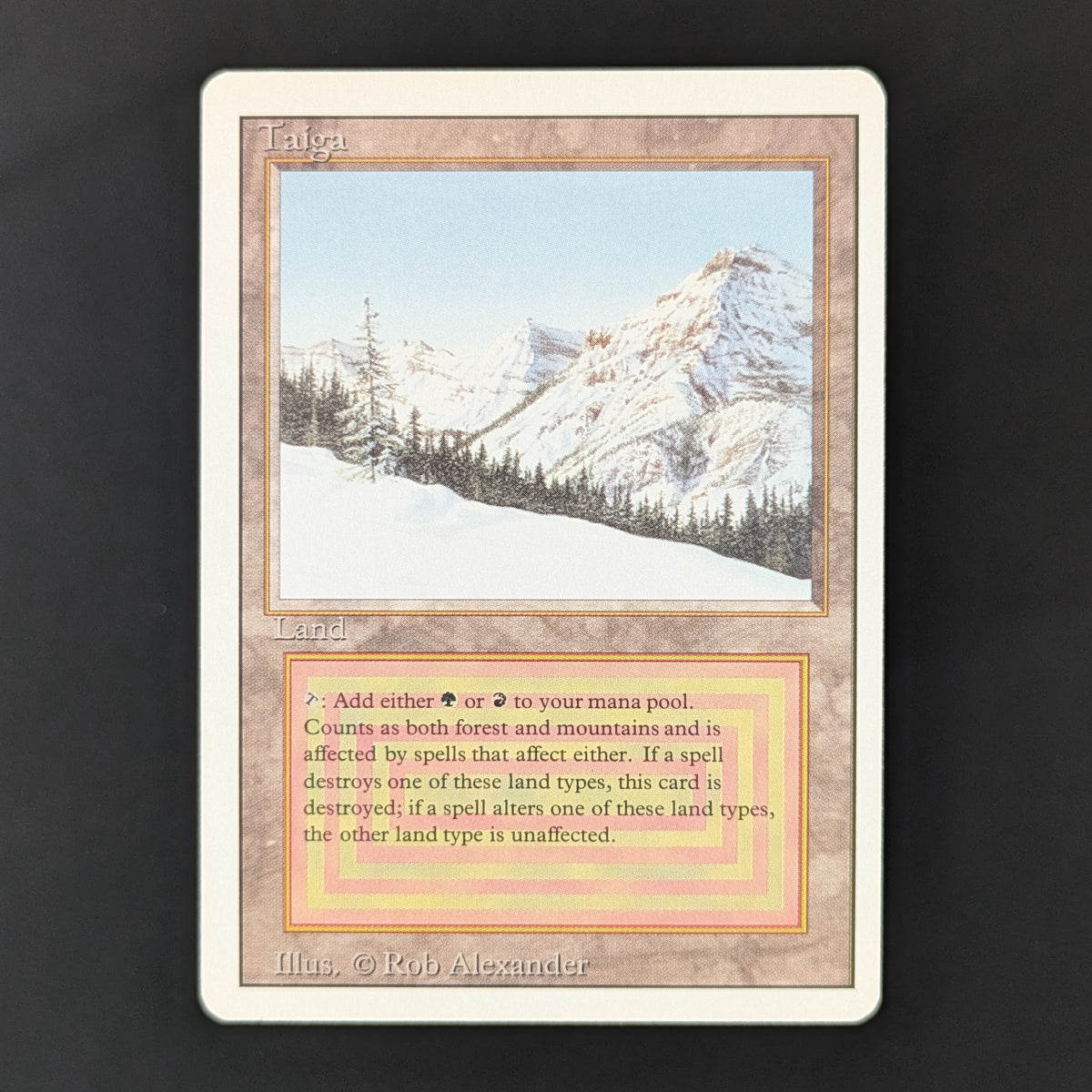 MTG Singles - Taiga - Revised - GD - 36241