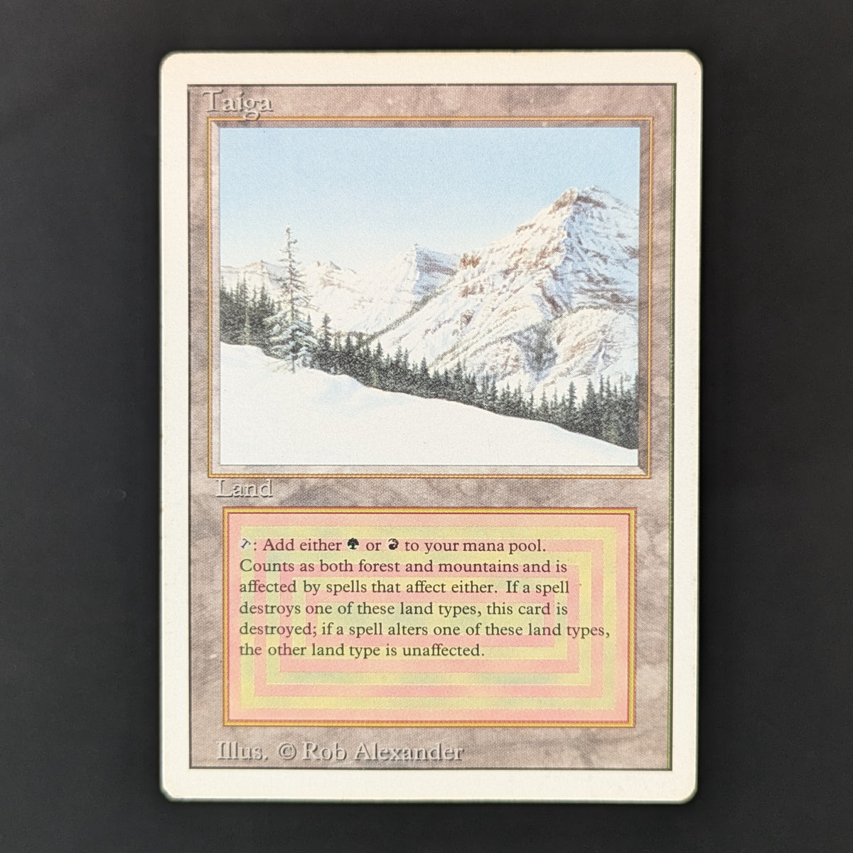 MTG Singles - Taiga - Revised - PL - 36244