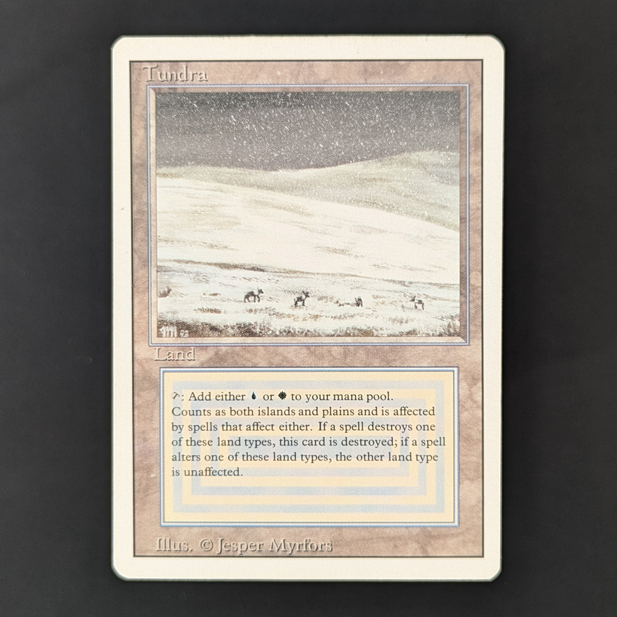 MTG Singles - Tundra - Revised - GD - 36254