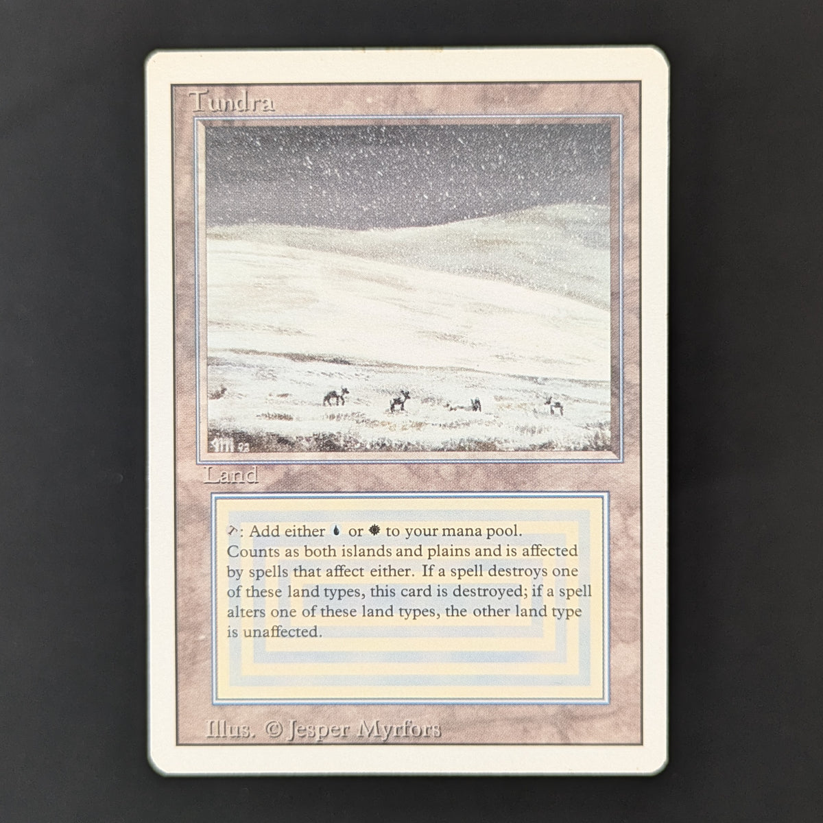 MTG Singles - Tundra - Revised - LP - 36255