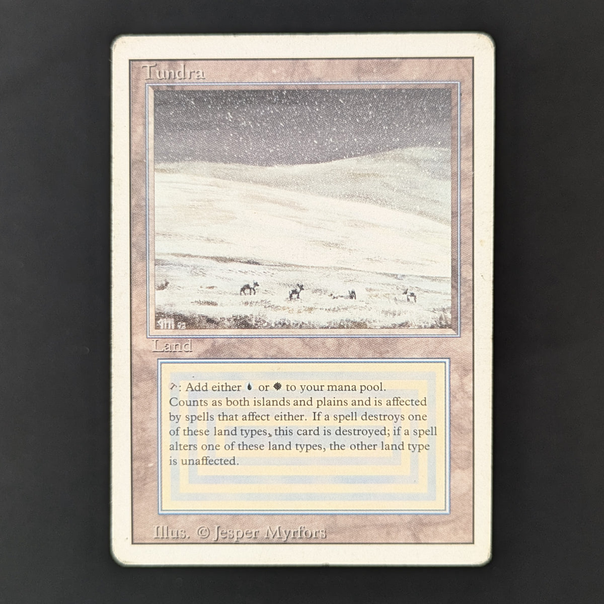 MTG Singles - Tundra - Revised - PL - 36261