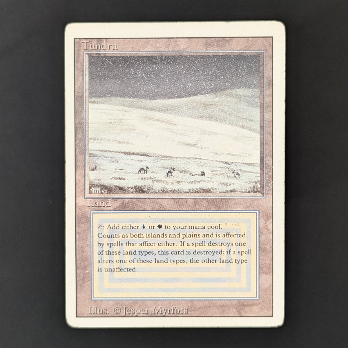 MTG Singles - Tundra - Revised - PL - 36262