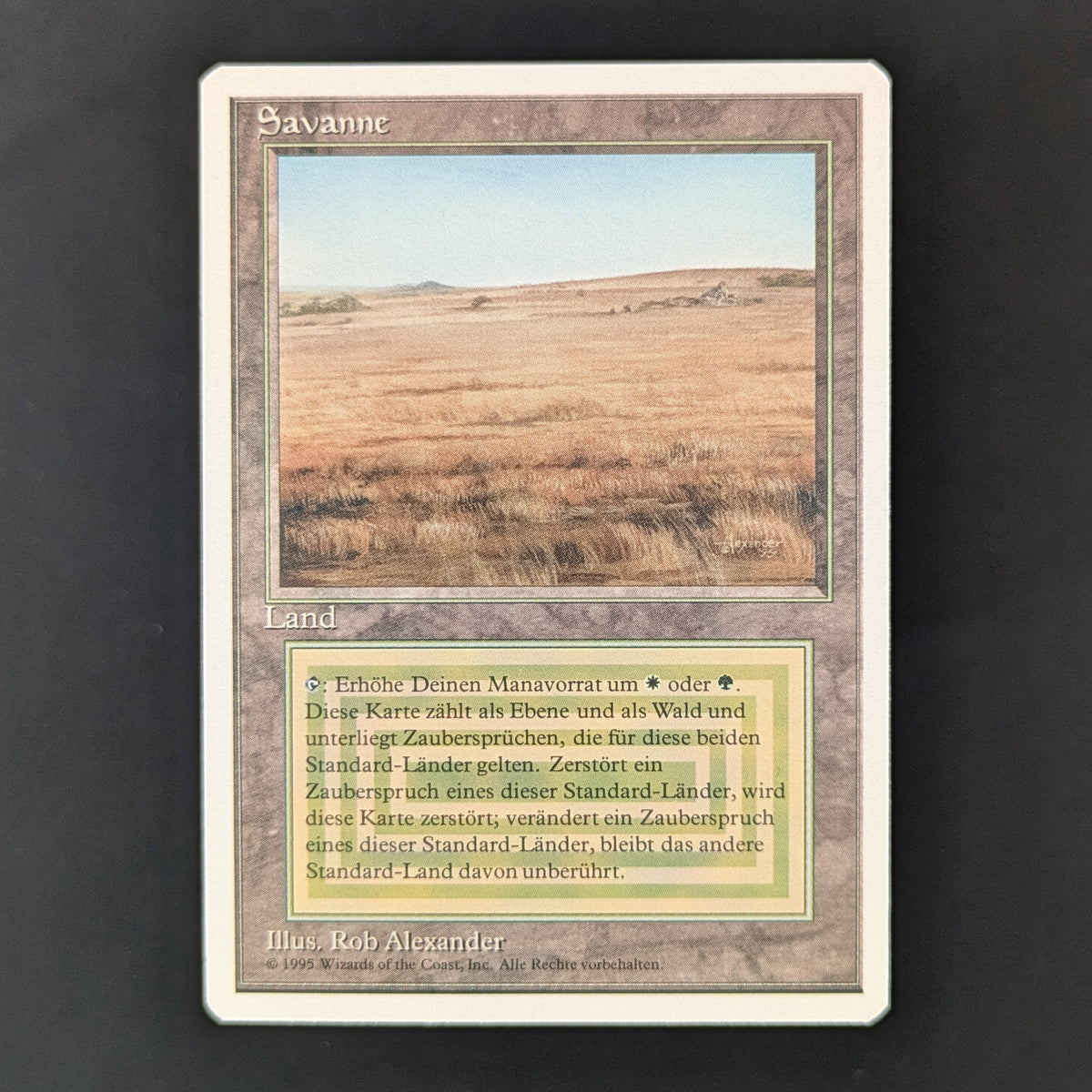 MTG Singles - Savannah - Foreign White Bordered - German - NM - 36290