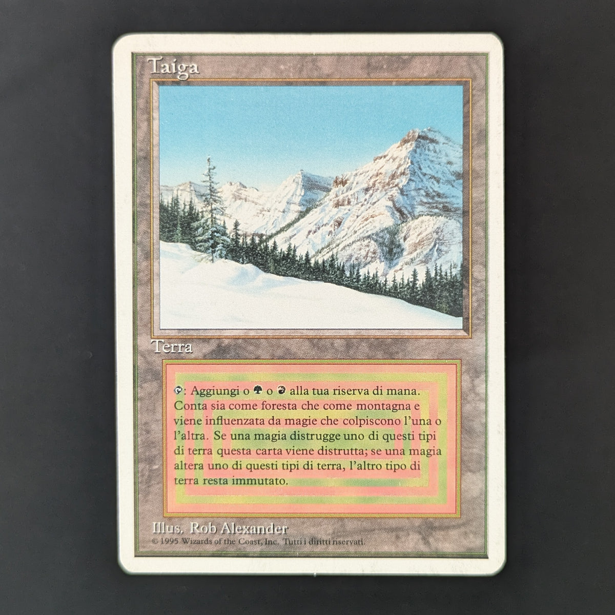 MTG Singles - Taiga - Foreign White Bordered - Italian - PL - INKED - 36301