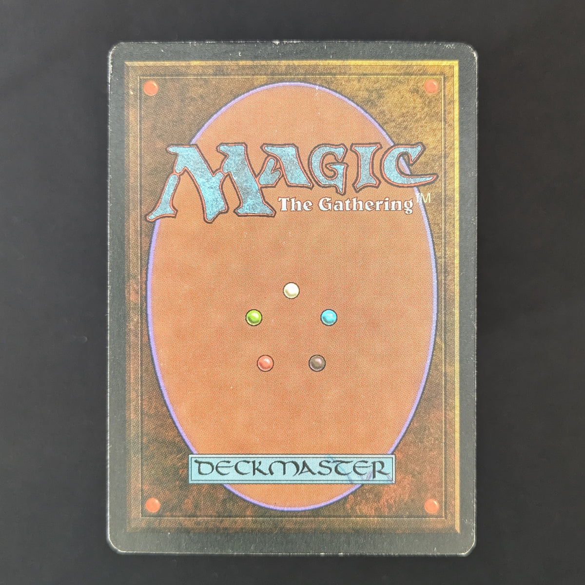 MTG Singles - Taiga - Foreign White Bordered - 