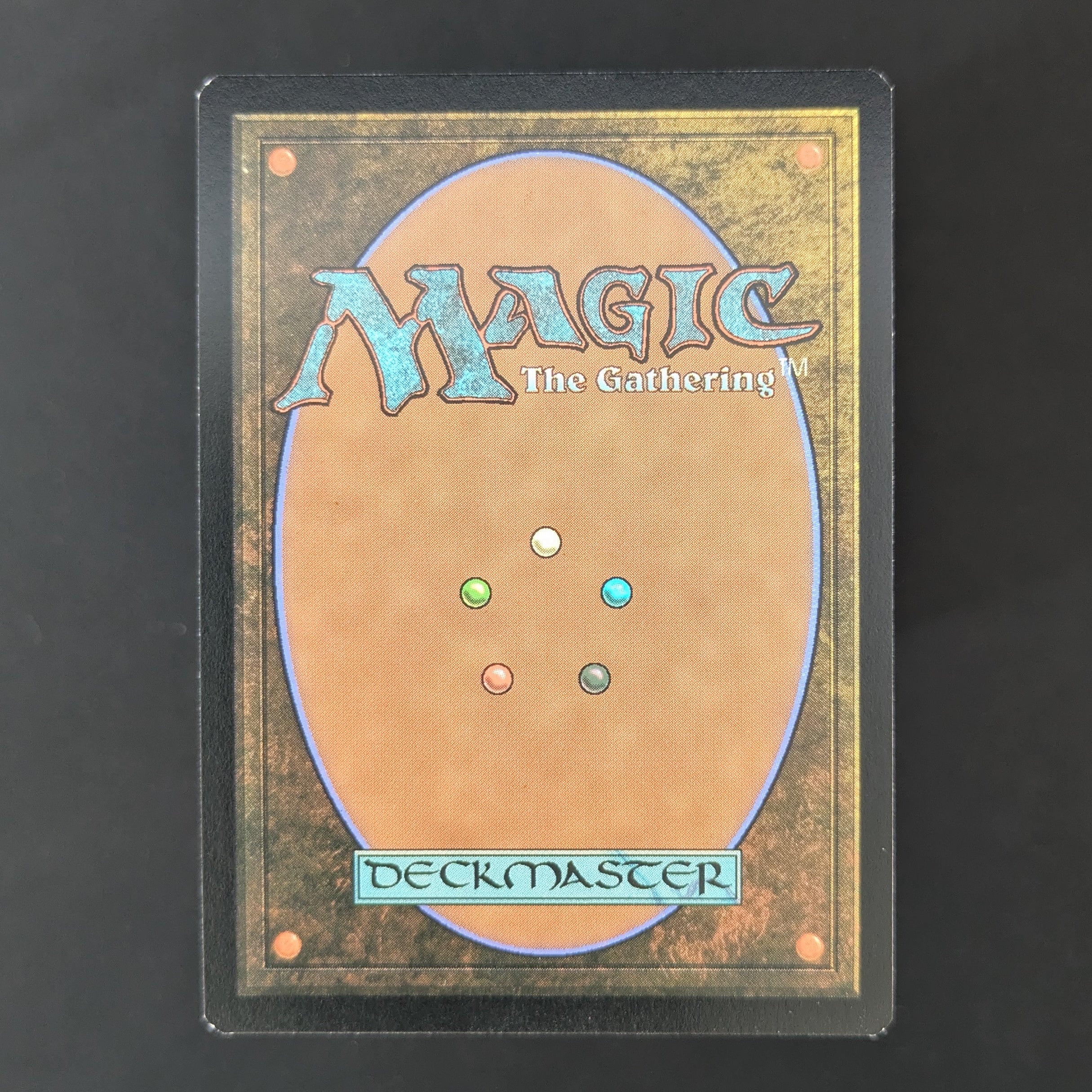 [FOIL] Radagast the Brown (Borderless Poster) - The Lord of the Rings: Tales of Middle-earth Holiday Release - English - NM