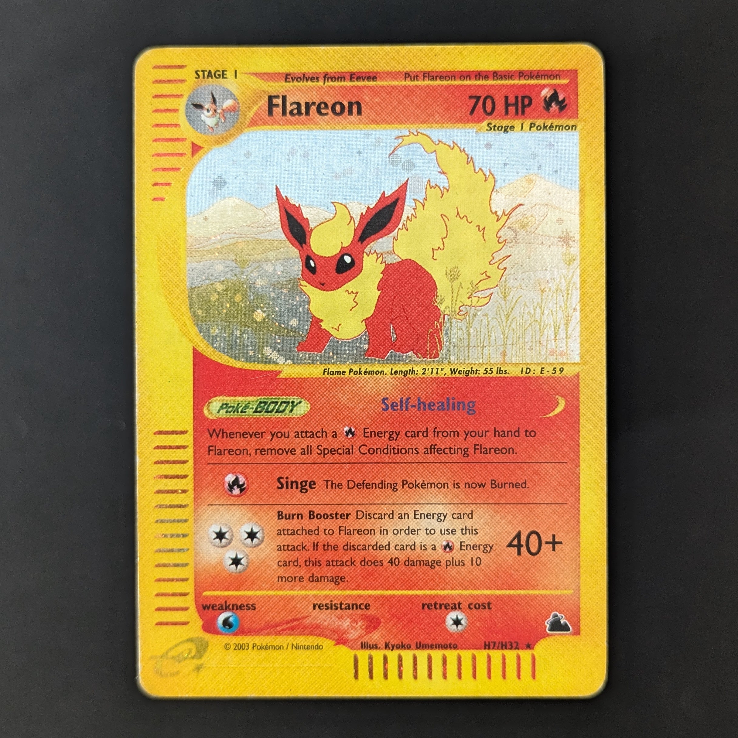 Flareon (SK H7) - Skridge - English - PL