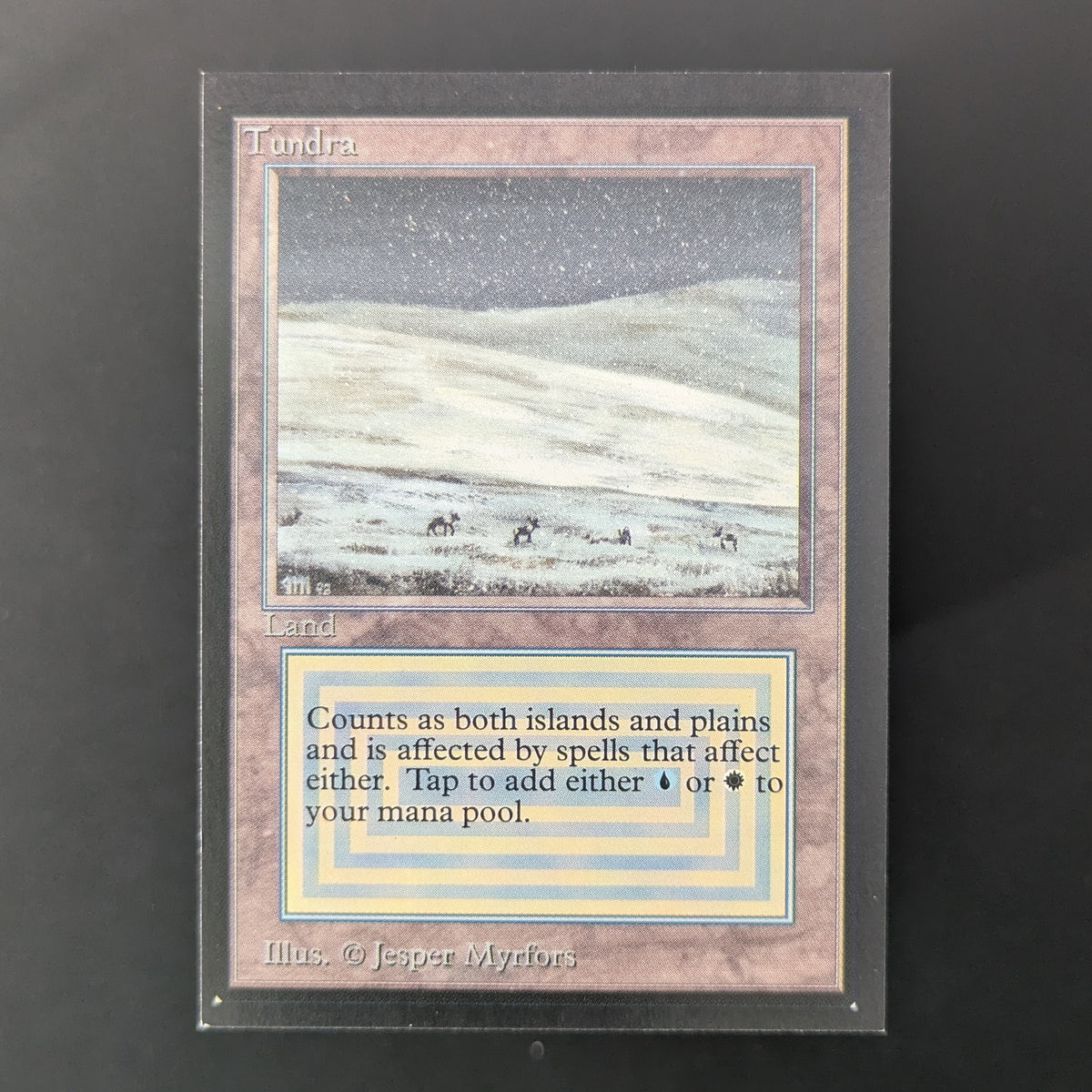 MTG Singles - Tundra - Collectors' Edition - NM - 36480