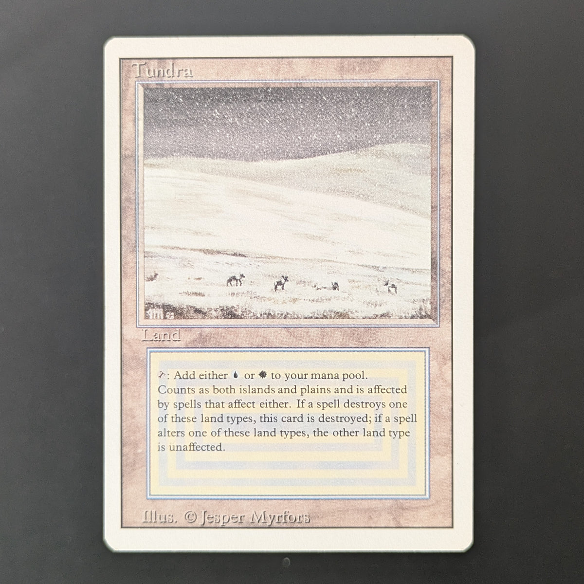 MTG Singles - Tundra - Revised - PL - 36484