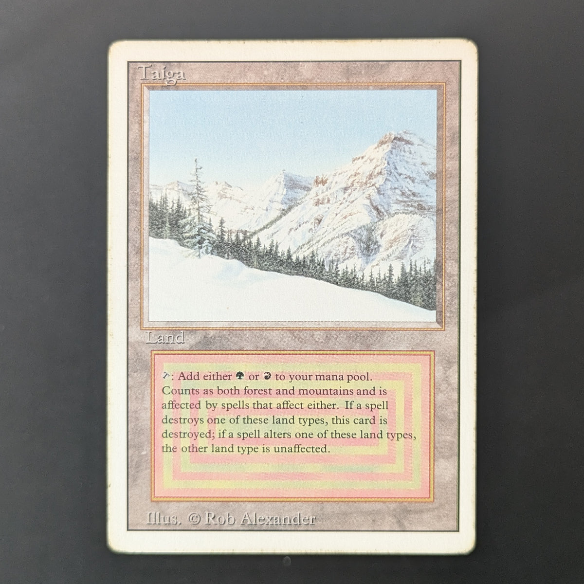 MTG Singles - Taiga - Revised - PL - 36500