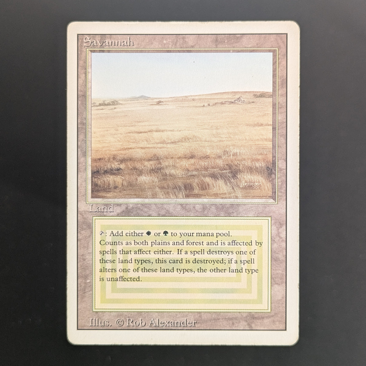 MTG Singles - Savannah - Revised - PL - 36678
