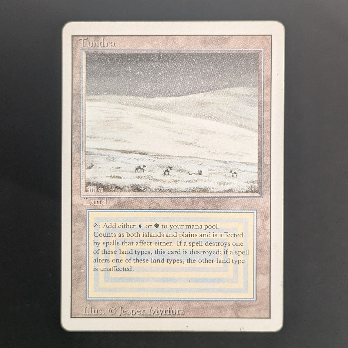 MTG Singles - Tundra - Revised - PL - 36687