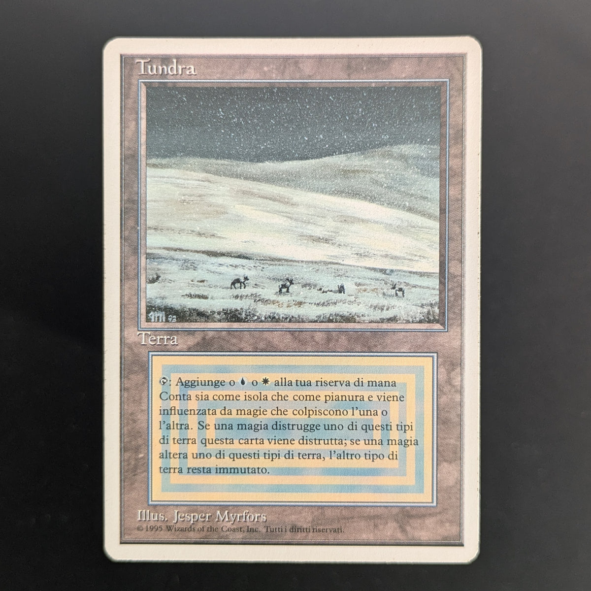 MTG Singles - Tundra - Foreign White Bordered - Italian - PL - 36703
