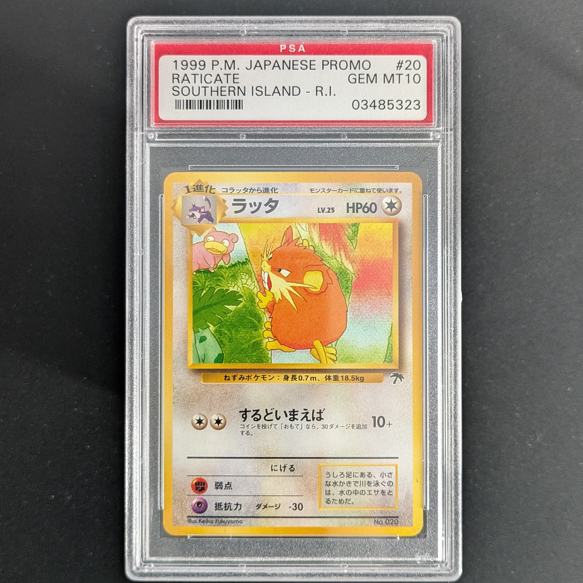 Raticate (SI-JP) - Southern Islands JP - Japanese - PSA 10