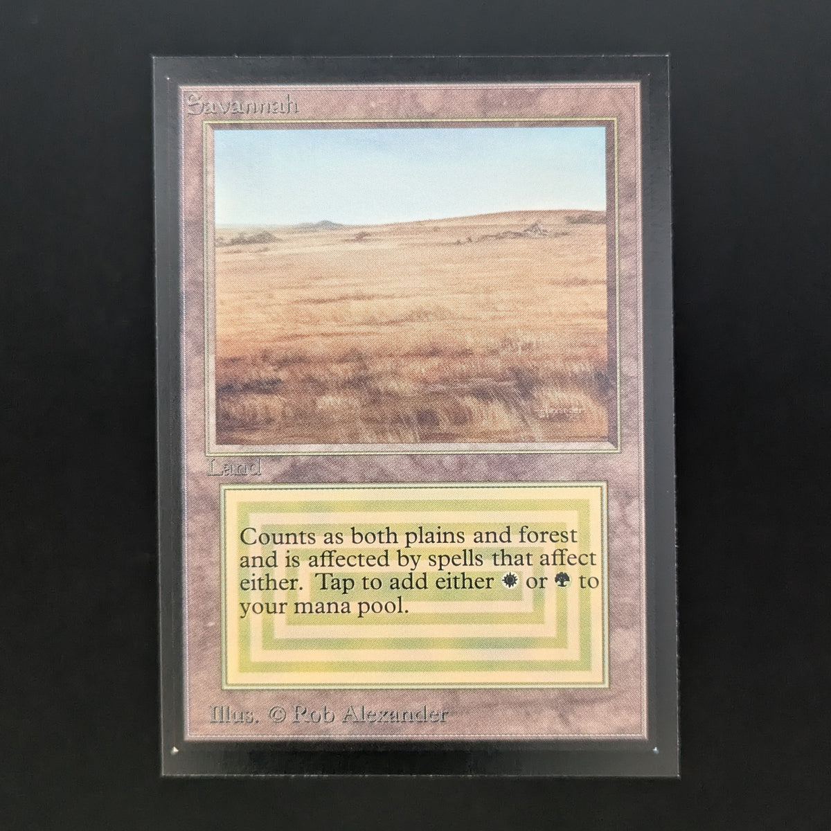 MTG Singles - Savannah - International Edition - NM - 37077