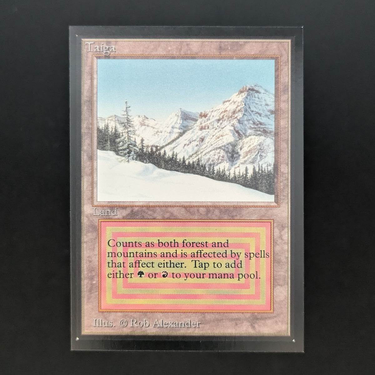 MTG Singles - Taiga - Collectors' Edition - 