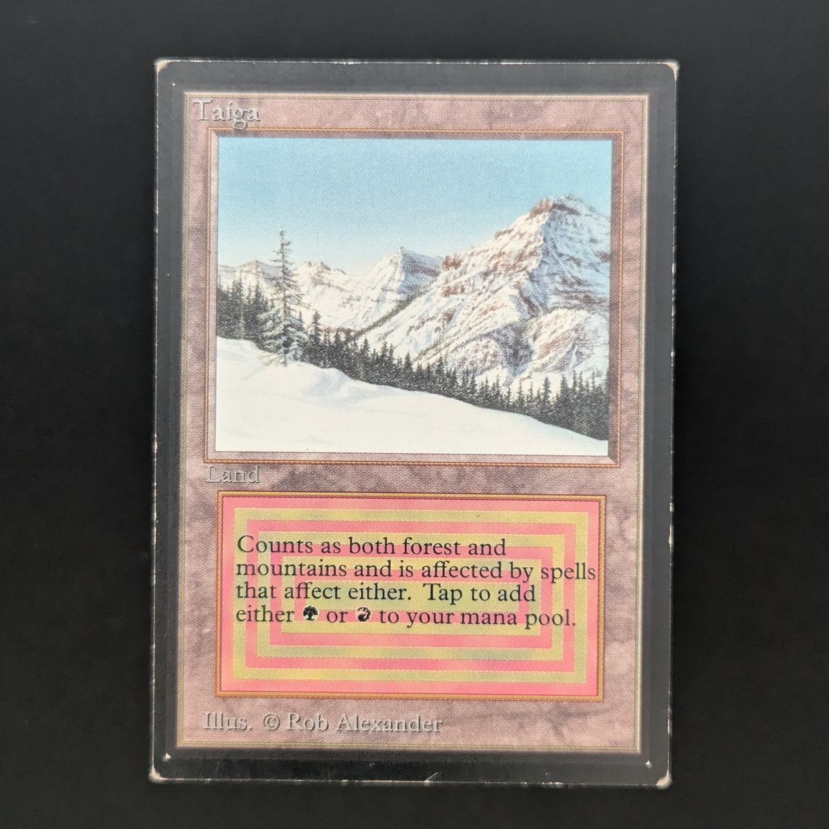 MTG Singles - Taiga - Collectors' Edition - 