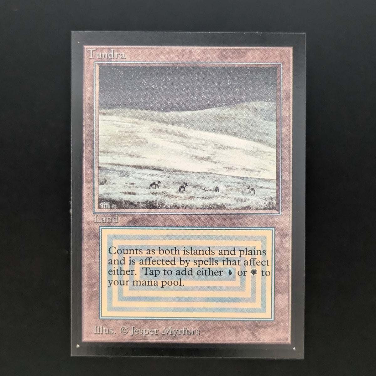 MTG Singles - Tundra - International Edition - NM - 37084
