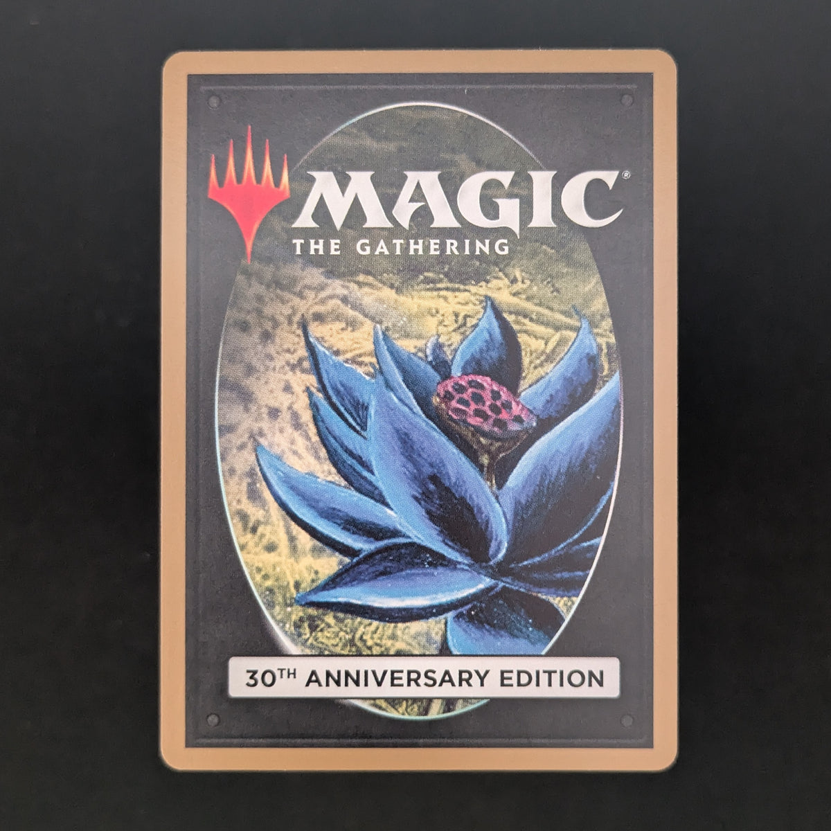 MTG Singles - Badlands (Modern Frame) - 30th Anniversary Edition - 