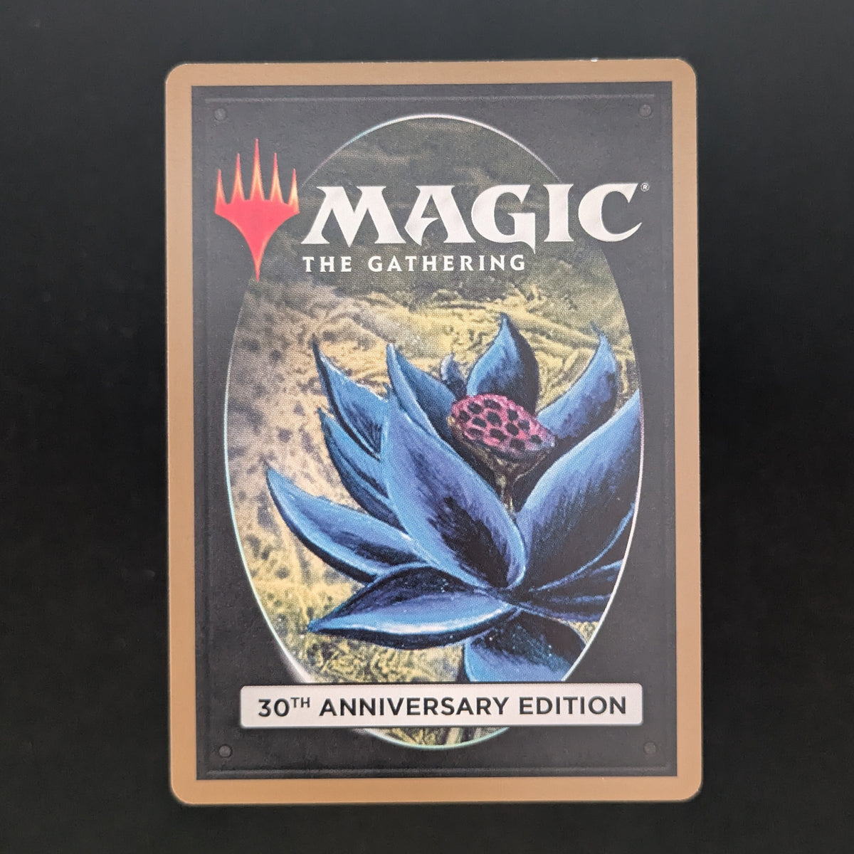 MTG Singles - Taiga (Modern Frame) - 30th Anniversary Edition - 