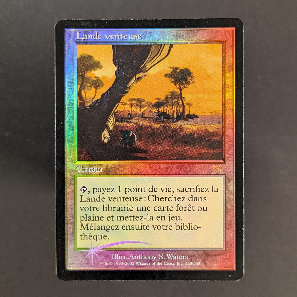 MTG Singles - [FOIL] Windswept Heath - Onslaught - French - PL - 