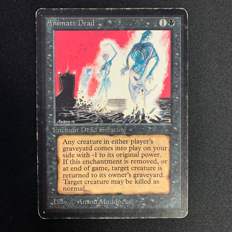 Magic the Gathering Animate Dead - Beta PL - 23566