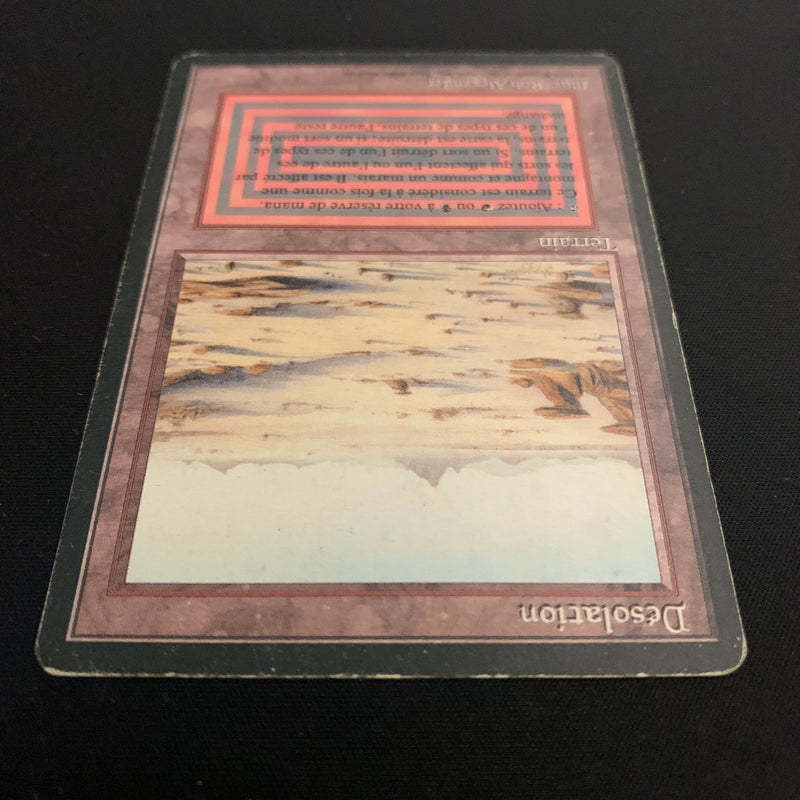 Magic the Gathering Badlands - Foreign Black Bordered - French 