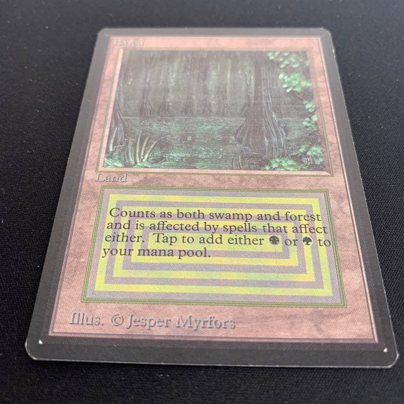 Magic the Gathering Bayou - Beta 