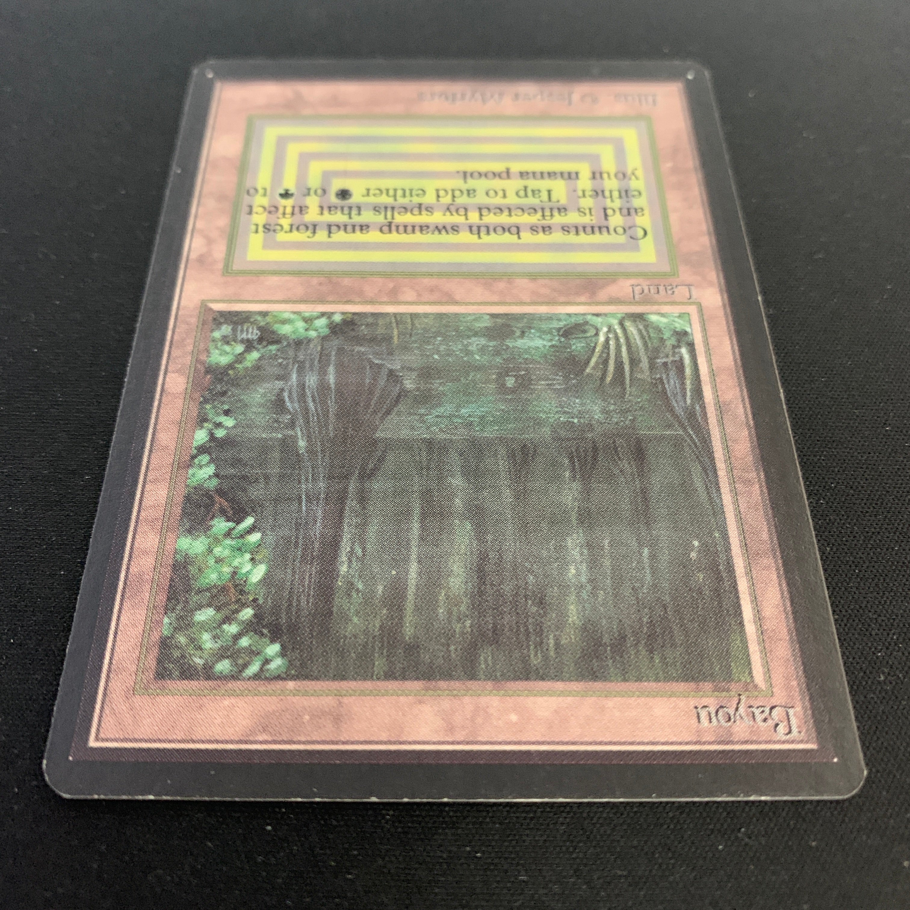 MTG Singles - Bayou - Beta - 