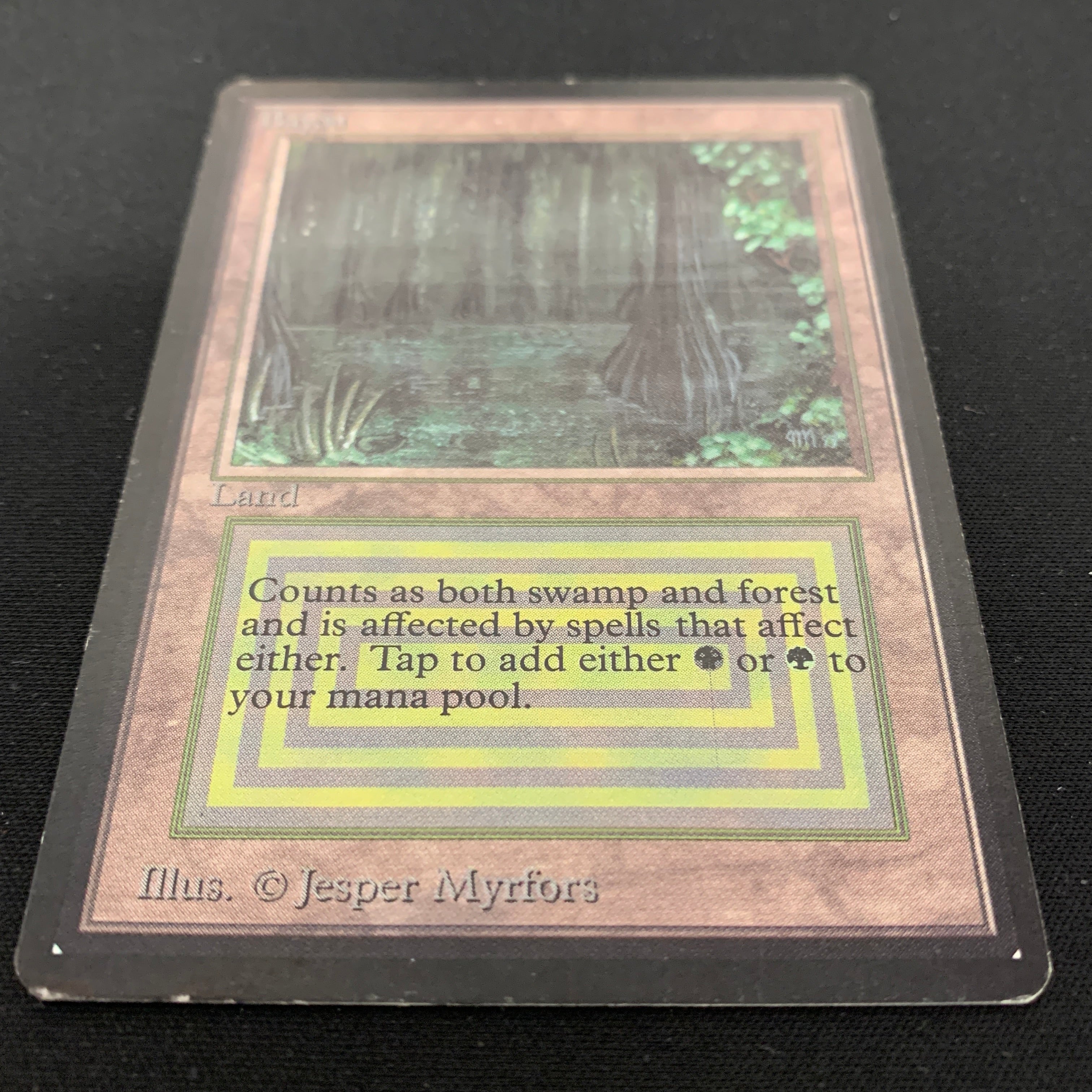 MTG Singles - Bayou - Beta - 