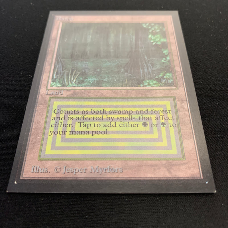 Magic the Gathering Bayou - Collectors' Edition 