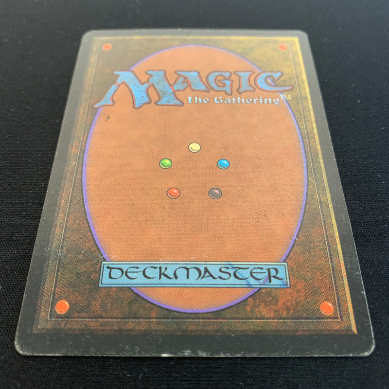 Magic the Gathering Bayou - Foreign Black Bordered - Italian 