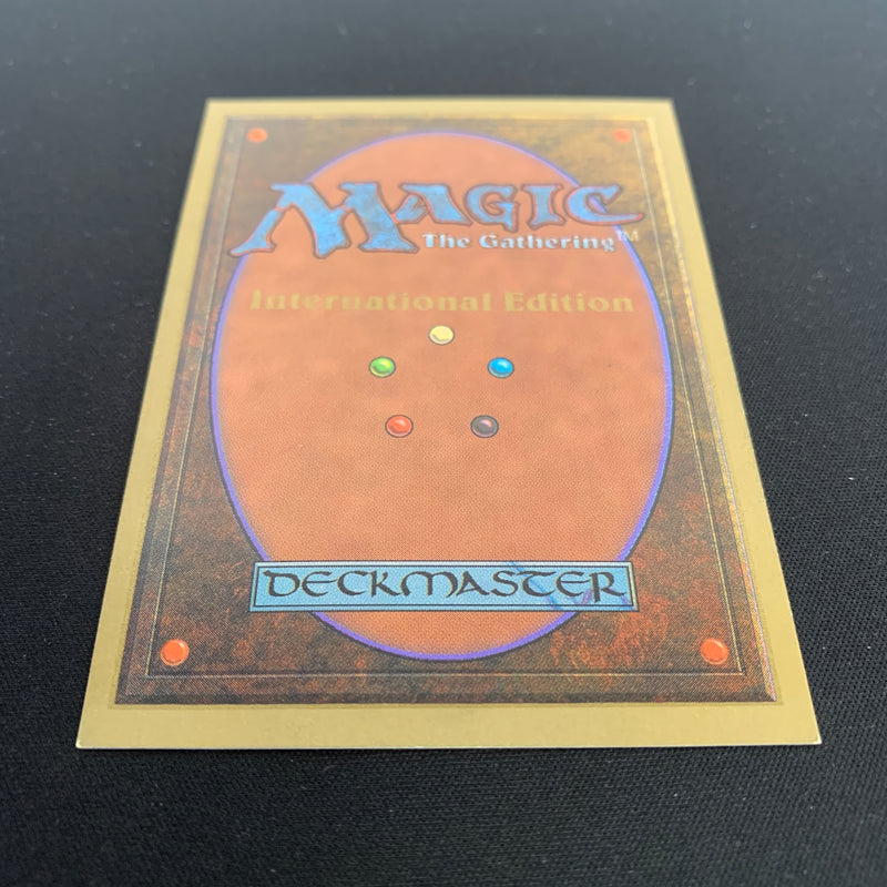 Magic the Gathering Bayou - International Edition 