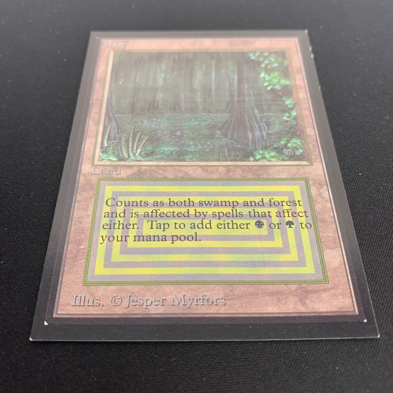 Magic the Gathering Bayou - International Edition 