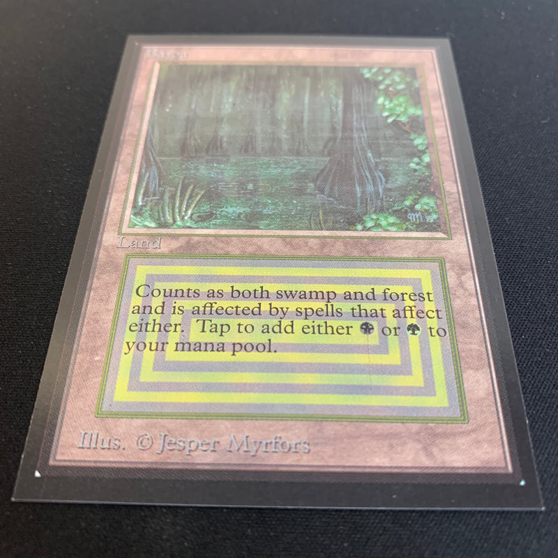 Magic the Gathering Bayou - International Edition 