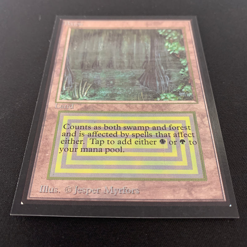 Magic the Gathering Bayou - International Edition 