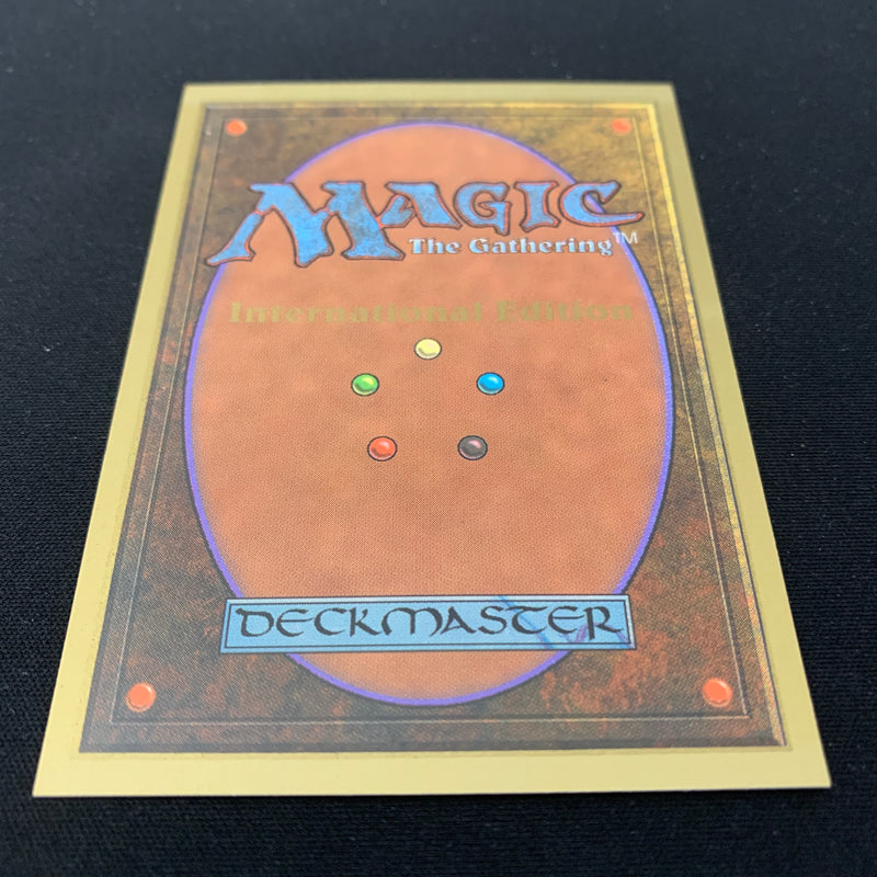 Magic the Gathering Bayou - International Edition 