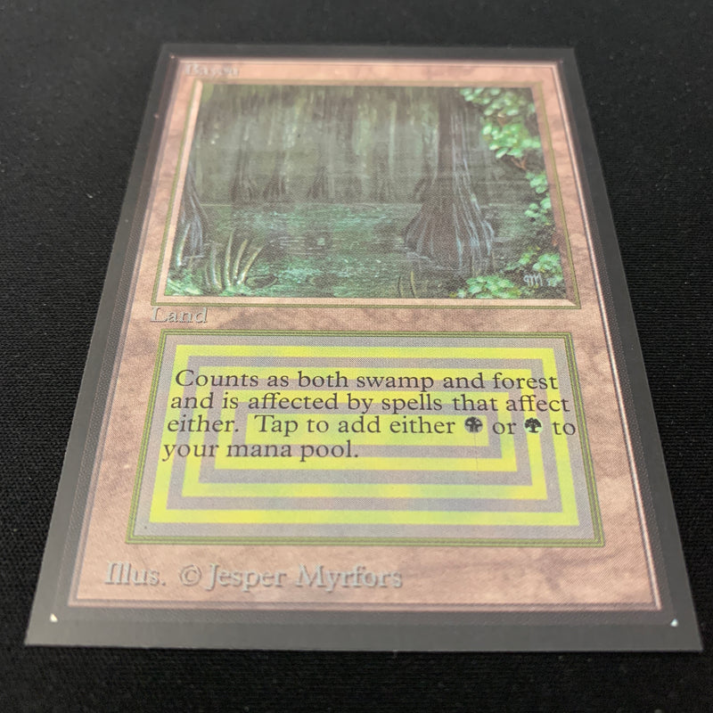 Magic the Gathering Bayou - International Edition 