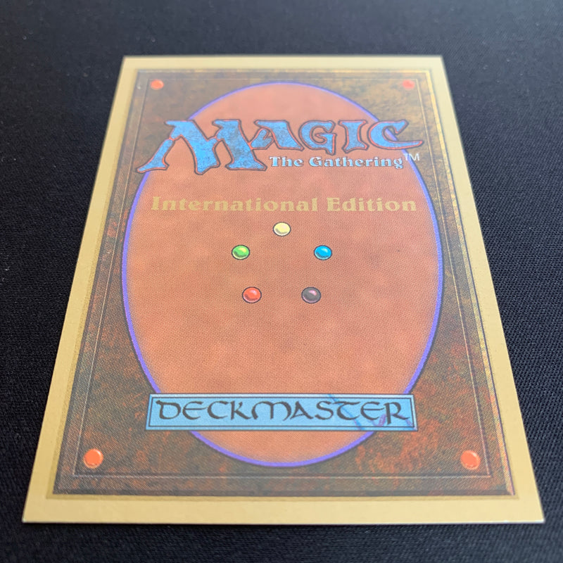 Magic the Gathering Bayou - International Edition 