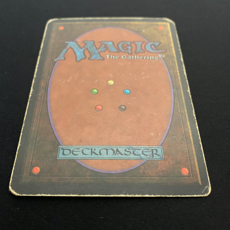 Magic the Gathering Bayou - Revised 